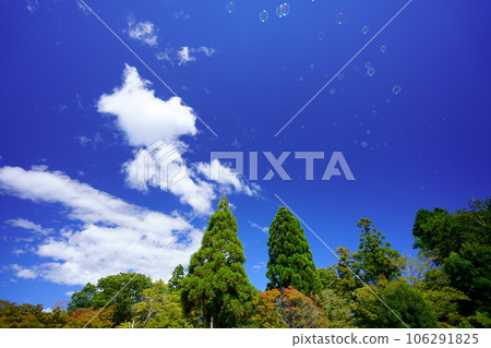 暑假，肥皂泡在深藍的天空中翱翔 106291825
