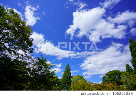 暑假，肥皂泡在深藍的天空中翱翔 106291829