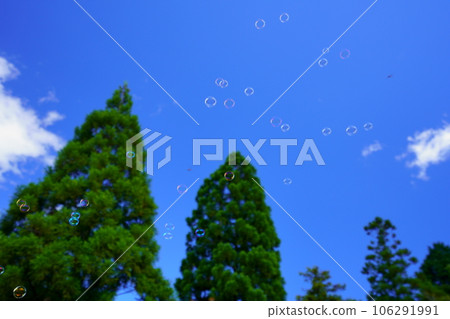 暑假，肥皂泡在深藍的天空中翱翔 106291991