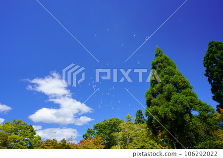 Summer vacation, soap bubbles soaring in the deep blue sky 106292022