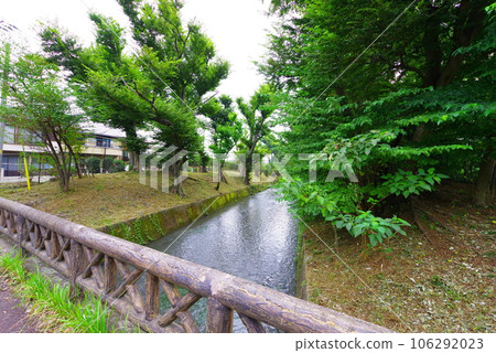 Tamagawa Aqueduct seen from Mihori Bridge in Akishima City 106292023
