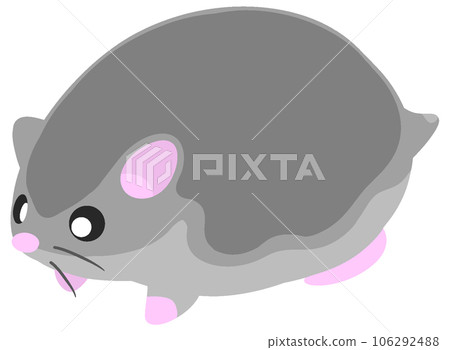 real black djungarian real black djungarian 106292488