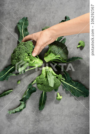 Broccoli inflorescences are laid out on a gray background, top view. The chef's hand takes a cabbage for cooking dinner. Healthy vegetable products, food delivery from farms Broccoli inflorescences are laid out on a gray background, top view. The chef's hand takes a cabbage for cooking dinner. Healthy vegetable products, food delivery from farms 106292567