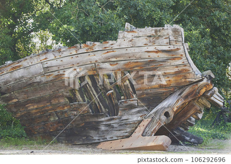 The rotten remains of an old wooden ship in Denmark 106292696