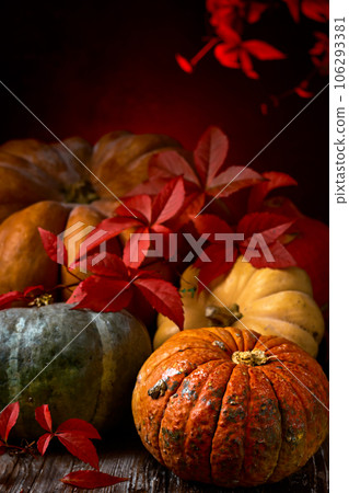 Pumpkins are laid out on an old table and decorated with willow leaves, a close-up of autumn vegetables. Autumn harvest, halloween, thanksgiving or samhain. Postcard for the screen Pumpkins are laid out on an old table and decorated with willow leaves, a close-up of autumn vegetables. Autumn harvest, halloween, thanksgiving or samhain. Postcard for the screen 106293381