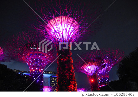 Romantic Supertree Grove in Singapore 106295402