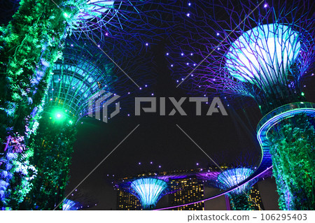 Romantic Supertree Grove in Singapore 106295403