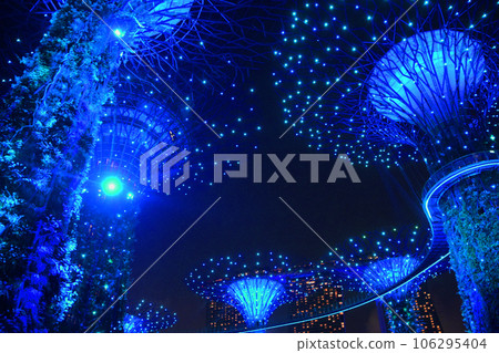 Romantic Supertree Grove in Singapore 106295404