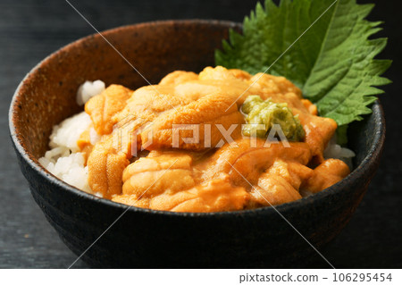 Udon 106295454