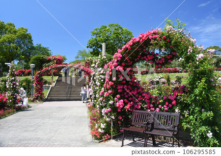 鹿兒島縣鹿屋玫瑰園的心形長凳 106295585