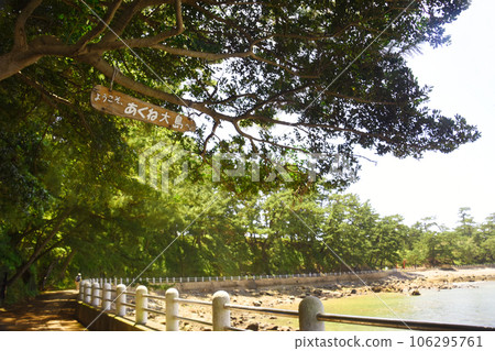 Welcome to Akune Oshima, Kagoshima Prefecture Welcome to Akune Oshima, Kagoshima Prefecture 106295761