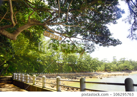 歡迎來到鹿兒島縣阿久根大島 106295763