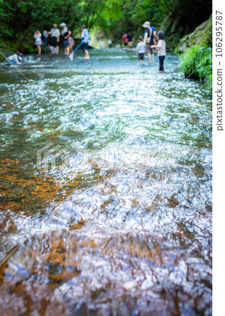 Children playing in the stream 106295787