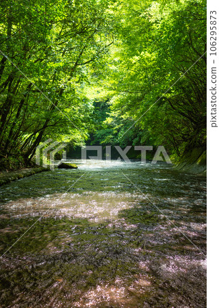 大分縣宇佐市園內町竹切溪谷 大分縣宇佐市園內町竹切溪谷 106295873