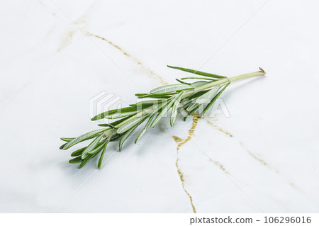 Rosemary branch - organic spicy herb Rosemary branch - organic spicy herb 106296016