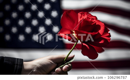 Red rose to symbolize the fallen and American veterans Red rose to symbolize the fallen and American veterans 106296787