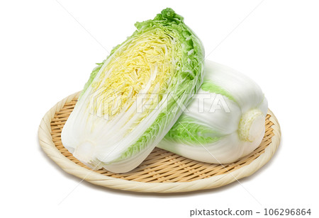 大白菜插畫真實 106296864