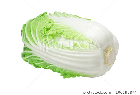 大白菜插畫真實 106296874