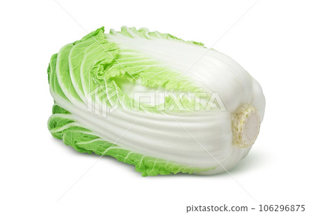 大白菜插畫真實 106296875