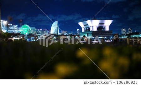 從山公園花壇看夜景 106296923