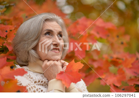Beautiful middle-aged woman on the background of autumn leaves 106297041