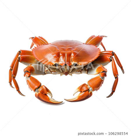 Red crab isolated 106298554