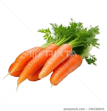Ripe orange carrot isolated 106298645