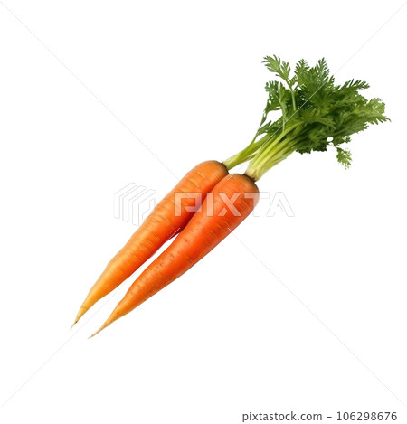 Ripe orange carrot isolated 106298676