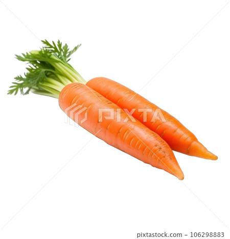 Ripe orange carrot isolated 106298883