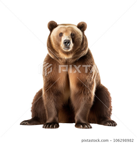 bear bear 106298982