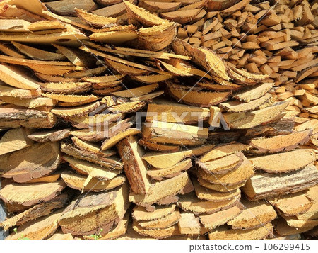Stocks of firewood for lighting the stove in winter Stocks of firewood for lighting the stove in winter 106299415