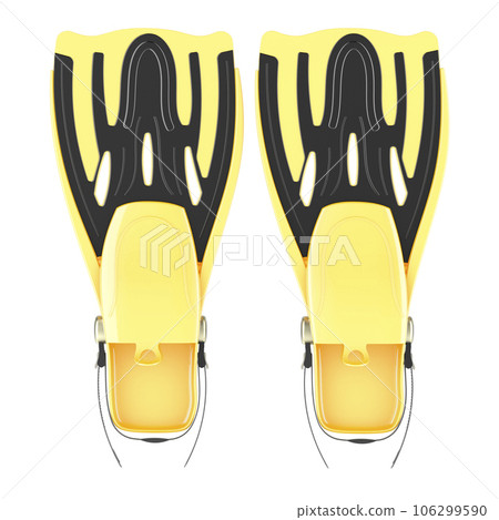 Snorkel Fins, Diving Fins, Flippers for Snorkeling, Swimming Fins, Adjustable Flipper Fins. 3D rendering Snorkel Fins, Diving Fins, Flippers for Snorkeling, Swimming Fins, Adjustable Flipper Fins. 3D rendering 106299590