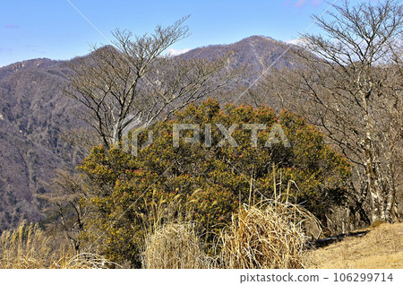 從丹澤鍋割山山頂看到的檜木戶丸 從丹澤鍋割山山頂看到的檜木戶丸 106299714