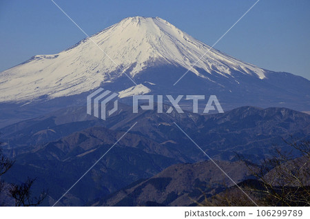 從丹澤市梅山看到的雪富士山 從丹澤市梅山看到的雪富士山 106299789