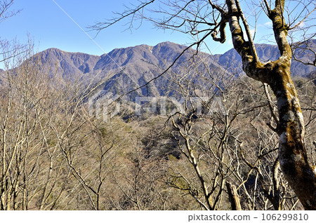 A view of the main mountain range of Tanzawa from the forest on the ridge of Mt. 106299810