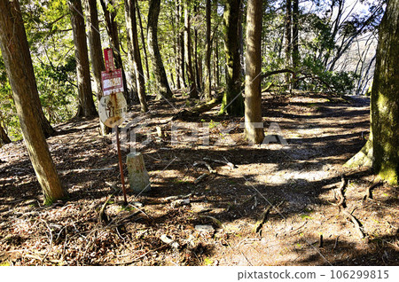 森林之巔，丹澤的大坪澤之頭 106299815