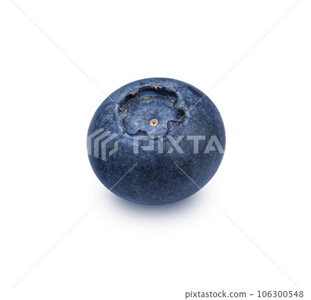 One blueberry isolated on white background, full depth of field One blueberry isolated on white background, full depth of field 106300548