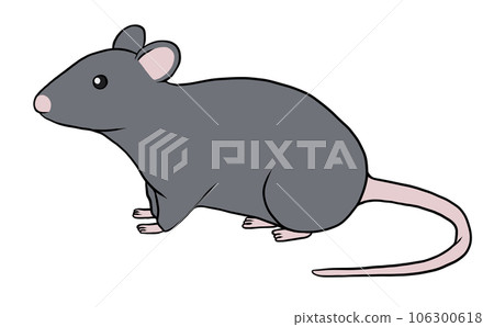 mouse_black 106300618