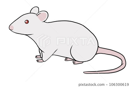 mouse_white 106300619