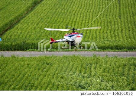 遙控直升機在稻田噴灑農藥 無線電遙控農用直升機 106301056