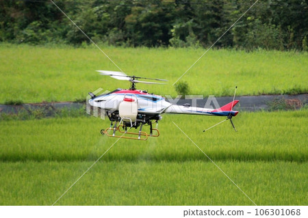 A remote-controlled helicopter spraying pesticides in paddy fields A radio-controlled agricultural helicopter A remote-controlled helicopter spraying pesticides in paddy fields A radio-controlled agricultural helicopter 106301068