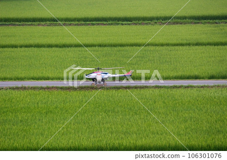 A remote-controlled helicopter spraying pesticides in paddy fields A radio-controlled agricultural helicopter 106301076