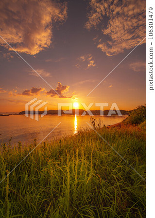 Sunset view from the coast 106301479