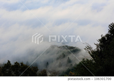 Sea of clouds seen from Mt. Onade ”Sayo Town, Hyogo Prefecture” Sea of clouds seen from Mt. Onade ”Sayo Town, Hyogo Prefecture” 106301700
