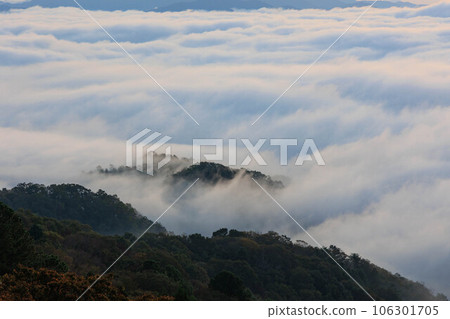 Sea of clouds seen from Mt. Onade ”Sayo Town, Hyogo Prefecture” Sea of clouds seen from Mt. Onade ”Sayo Town, Hyogo Prefecture” 106301705