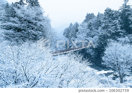 Tokyo's Akigawa Valley Snowscape ~Sekibune Bridge~ 106302739