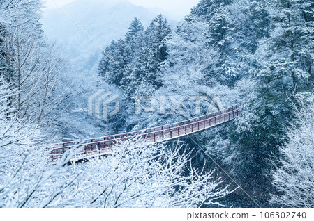 東京秋川谷雪景～關船橋～ 106302740
