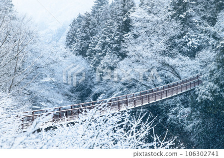 東京秋川谷雪景~關船橋~ 東京秋川谷雪景~關船橋~ 106302741