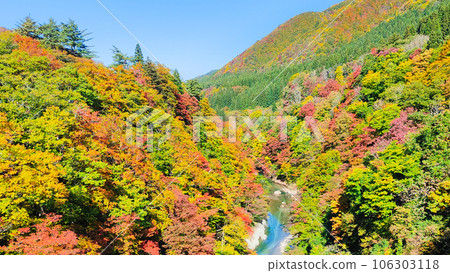 大安峽(秋季) 大安峽(秋季) 106303118