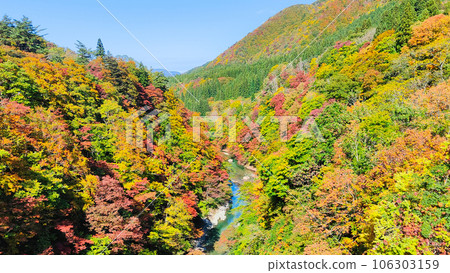 Oyasukyo (Autumn) 106303159